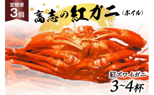 
                  定期便 紅 ズワイガニ ボイル 高志の紅ガニ 3～4杯×3回 カニ 蟹 期間限定 冷蔵/くろべ漁業協同組合 魚の駅「生地」/富山県 黒部市 かに 海鮮 魚介類 魚介 ずわい蟹 ずわいガニ 
                
