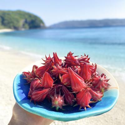 ふるさと納税 座間味村 座間味村産ハイビスカスティー1袋(1.5g×5包)&ハイビスカスジャム2個(100g×2個) |  | 03