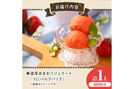 採れたて!福岡産濃厚あまおうジェラート 業務用 (1L) 苺 いちご イチゴ アイス アイスクリーム 手作り スイーツ ＜離島配送不可＞【ksg0131】【南国フルーツ】