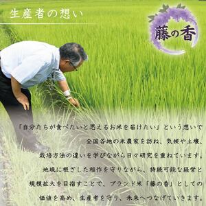 新米 藤の香 コシヒカリ 10kg お米 令和7年度産 静岡県産 静岡のお米 精米 白米 無農薬 有機肥料 おこめ ご飯 ごはん 米 国産 産地直送 静岡県 藤枝市