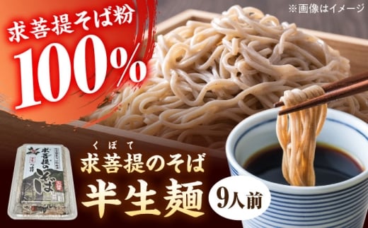 豊前 求菩提そば 石臼挽き 半生麺 9人前 《豊前》 【有限会社豊前民芸】そば 蕎麦 求菩提そば [VEQ006]