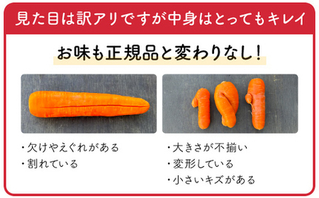 【12月～2月発送】【栽培期間中農薬不使用】訳あり人参１０㎏ AIBA FARM Ｂ品 / 野菜 やさい にんじん 人参 ニンジン 名産 特産 甘い 美味しい 訳あり 不揃い B級 健康 ヘルシー フ