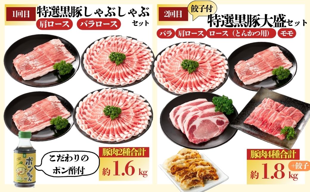 ＜定期便・全10回(毎月)＞かごしま黒豚ふるさと定期便 バラエティーセットC(月1回×10カ月)