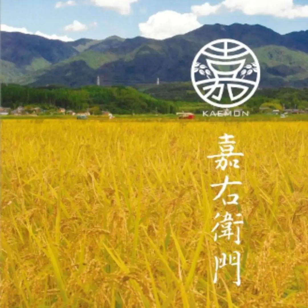 【令和7年産】「米屋のこだわり阿賀野市産」 無洗米コシヒカリ便利な小分け1合×30袋 新潟県 米 こめ コメ 白米 精米 1E08018