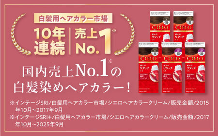シエロ ヘアカラークリーム ダークブラウン 3個 / CIELO 白髪染め セルフカラー ヘアカラー / 瀬戸市 / ホーユー株式会社 [BBEL003]