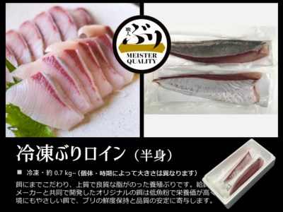 B2-4736／【鹿児島産ぶり】冷凍・ぶり皮無ロイン（背腹計2ｐ）