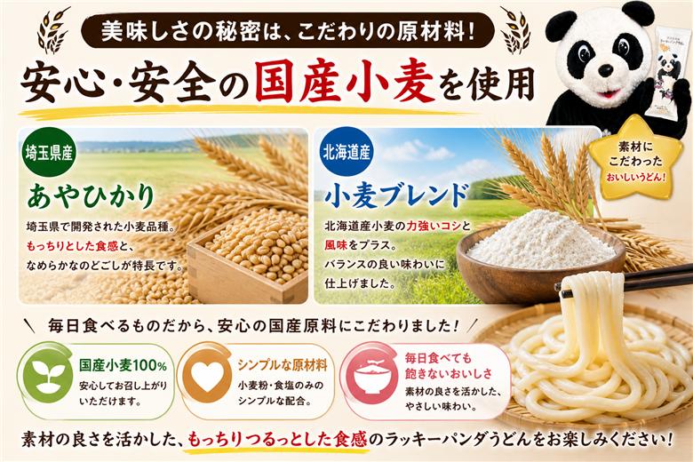 うどん ラッキーパンダうどん 60食セット (3束×20袋) | うどん 饂飩 乾? 麺 麺類 国産 国内産小麦使用 あやひかり もっちり つるっこ 食品 ラッキーパンダ おすすめ 人気 ぎふとるうむ