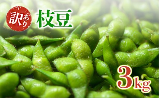 
            はちしろ農園　訳アリ枝豆 約3kg
          