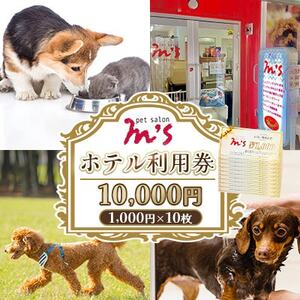 熊本県益城町 ペットサロン エムズ(M’s) ホテル利用券 10,000円(1000円×10枚)【1704015】