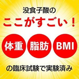 048-10　【定期便6か月】国産プーアール茶　SARYU-SOSO（5g×10ティーバッグ）×6回　＜機能性表示食品＞