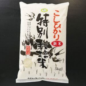 千葉県産 ちばエコ米コシヒカリ5kg×2袋【配送不可地域：離島・沖縄県】【1360939】