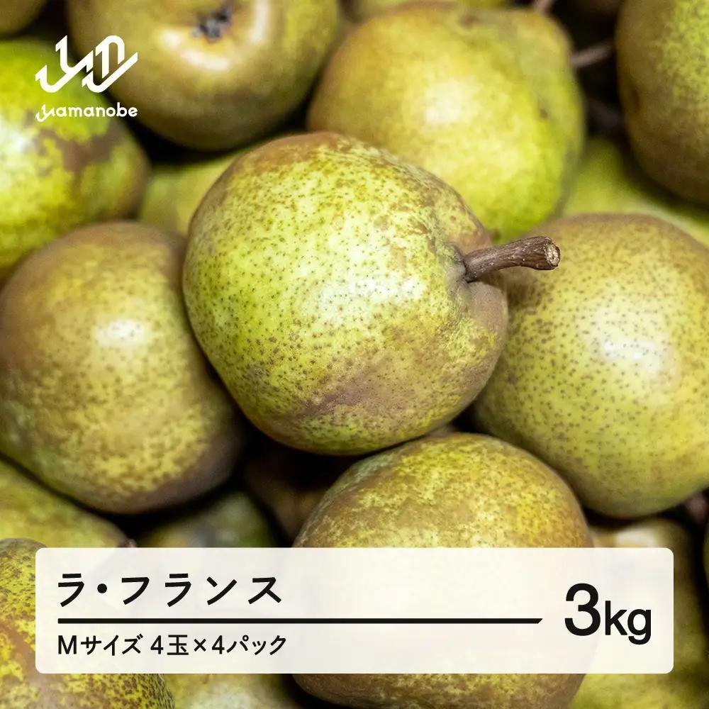 山形県産 西洋梨 ラ･フランス  約3kg M玉 2026年産 4パック入 (1パック4つ）16玉 ai-lamxx3