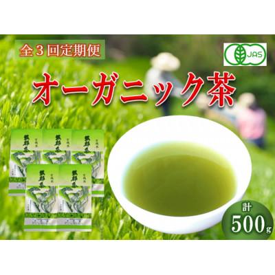ふるさと納税 藤枝市 【3ヵ月毎定期便】オーガニック茶500g (100g5袋) 一番茶 岡部茶全3回