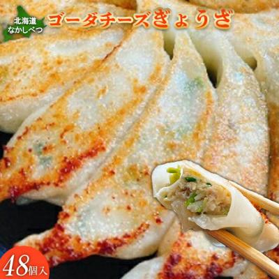 ふるさと納税 中標津町 北海道なかしべつゴーダチーズぎょうざ×48個