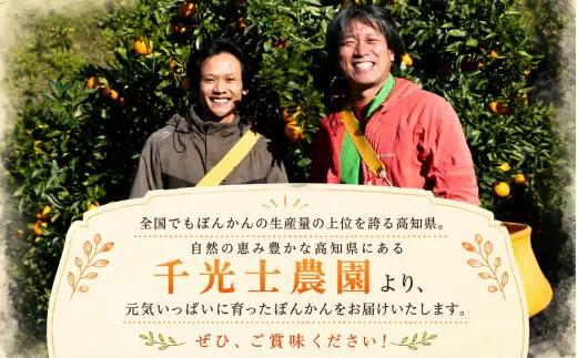 家庭用ポンカン高知県産 ポンカン 5kg