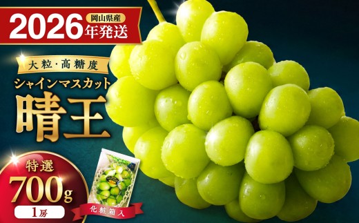 【2026年発送分】岡山県産シャインマスカット「晴王」 特選　大房　化粧箱入　1房（約700g）（令和8年8月中旬以降発送）