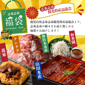 【定期便全３回】志布志市福袋！鰻とおかずいろいろセット(霧島湧水鰻2尾＆釜揚げちりめん＆黒豚ウデ切り落とし＆ウーロン紅茶＆角煮飯) ウナギ 蒲焼 2尾 鰻重 うな丼 黒豚 しらす ちりめんじゃこ バラ