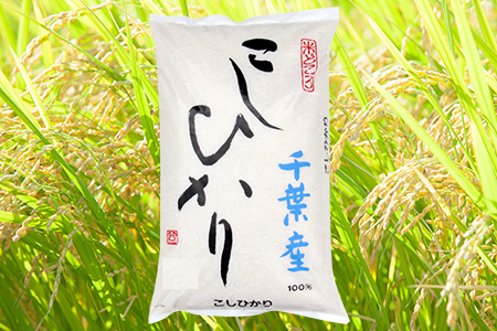 令和7年 千葉富津産「コシヒカリ」5kg（精米）　竹ノ内米店