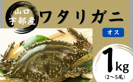 【北海道・東北・沖縄・離島配送不可／着日指定必須】ワタリガニ [オス] 約1kg(2～5尾) ワタリガニ
