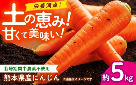 にんじん 約5kg 天日塩＆発酵土壌で作ったこだわりの人参 【株式会社 夢アグリ】 [ZCL019]