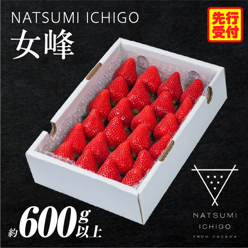 【ふるさと納税】NATSUMI ICHIGO 女峰 約600g以上（2026年1月～6月配送） いちご フルーツ 果物 果実 デザート スイーツ おすすめ 人気 贈答 贈り物 化粧箱 旬 旬の果物 旬のいちご ご褒美 ギフト 国産 果肉 果汁 香川県 三木町 送料無料