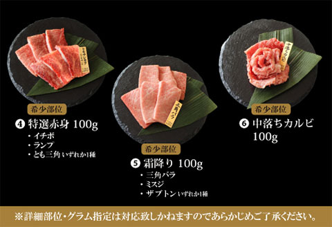 宮崎牛 特選 食べ比べ 6種盛り 合計600g |牛肉 牛 肉 ロース リブロース サーロイン 肩ロース カルビ バラ かいのみ フランク 赤身 うちもも しんたま ヒレ 赤身 希少 イチボ ランプ