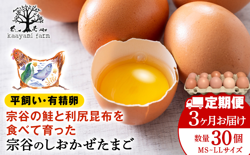【3カ月定期便】宗谷のしおかぜたまご30個入