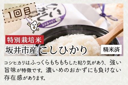 定期便 ≪3ヶ月連続お届け≫ 福井県発祥のお米 3種食べ比べ 5kg × 3回 計15kg 【 人気 品種 ブランド米 特A 】 [C-6137]