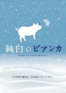 【6か月定期便】純白のビアンカコース 毎月違うお肉をお届け 計4kg超 豚バラ 豚ロース 骨付き ポークステーキ しゃぶしゃぶ 焼肉 豚肉 ぶた ぶた肉 肉 お肉 国産 冷凍 BBQ 新鮮 新潟県 阿