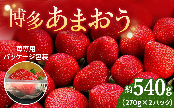 
            【2026年1月上旬より発送】先行予約！農家直送 朝採り新鮮いちご【博多あまおう】約270g×2パック＜株式会社H&Futures＞那珂川市 フルーツ 果物 イチゴ 苺 あまおう いちご [GDS001]
          