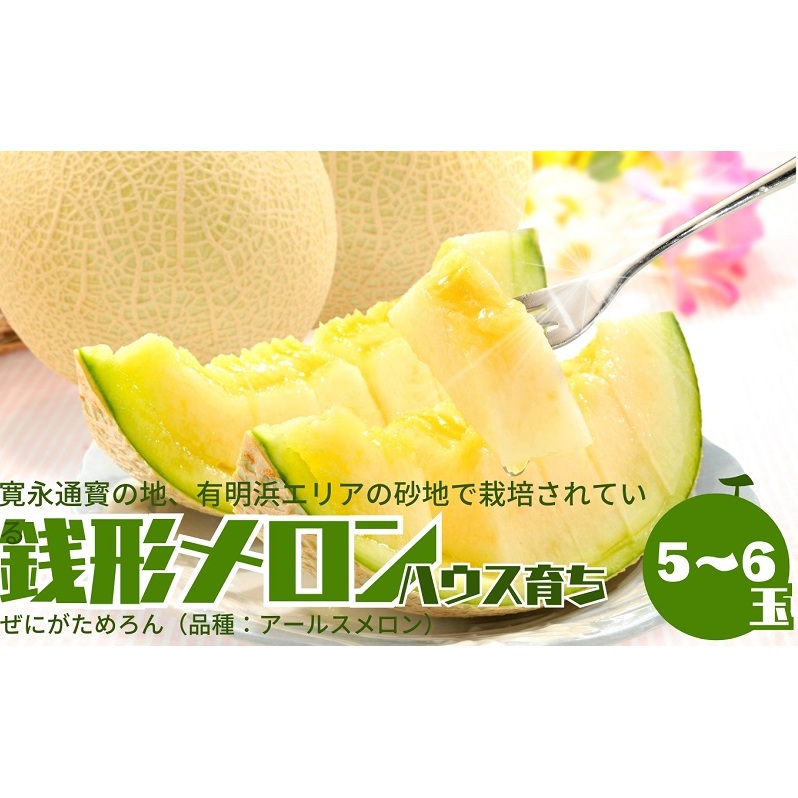 温室メロン（銭形メロン）5～6玉入り 果物 メロン青肉 フルーツ 温室育ち アールスメロン おやつ デザート 食後 国産 香川県産 観音寺市産 