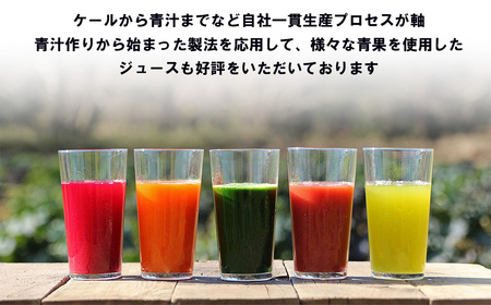 青汁シークワーサー入り 100g×30 パック【6 ヵ月定期便】＜離島・沖縄配送不可＞【 茨城県青汁定期便 つくば市青汁定期便 飲料青汁定期便 ドリン青汁定期便ク あおじる青汁定期便 健康 無添加 有
