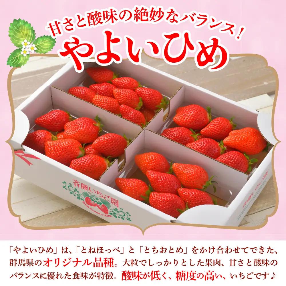 【常温便】2027年1月発送 いちご やよいひめ 約270g×4