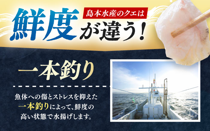 【全3回定期便】対馬産 クエ ぶつ切り 600g スープ付 ( 鍋用 )《対馬市》【島本水産】高級魚 新鮮 肉厚 本格的 海鮮 2〜3人前 鍋セット フライ 煮付け アラ モロコ アオナ [WBI00
