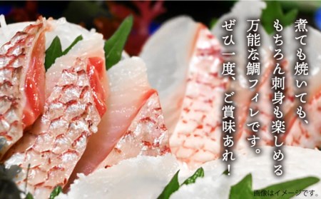 【全3回定期便】壱岐産 鯛 フィレ 800gから1.2kg [JDT033]