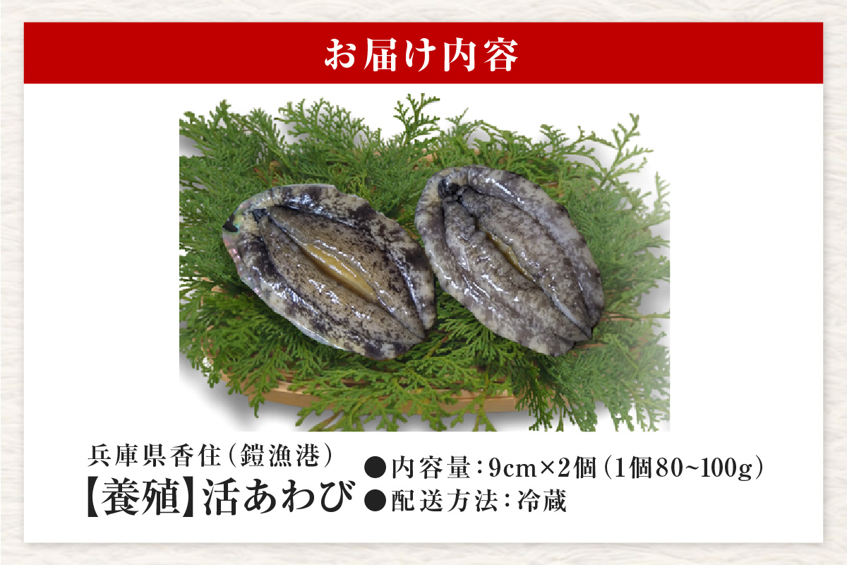 【冷蔵 活あわび 養殖 9cm×2枚 160～200g (1個80～100g）】満点青空レストラン うまい！おせち2023に採用されました 新鮮 発送目安：入金確認後1ヶ月以内 日本海 香住で育てた養