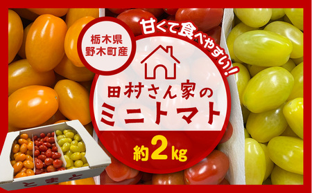 田村さん家のミニトマト約2kg【栃木県野木町産】田村農園《11月上旬-7月下旬出荷》トマト ミニトマト 野菜 新鮮 リコピン ビタミン 美容
