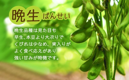 【令和7年産先行予約】朝採りだだちゃ豆（枝豆） 食べ比べ定期便 1.5kg (500g×3袋)×3回 お届け 早生・白山・晩生　小池半左衛門