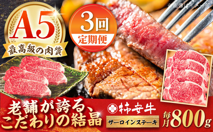 
                  【3回定期便】最高級A5等級 三重県産 黒毛和牛 柿安牛 サーロインステーキ 800g / 国産牛 ブランド牛 牛肉 冷蔵 / 亀山市 / 柿安本店 [AMBW027]
                