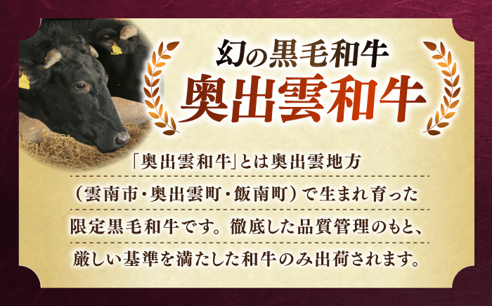 ＜幻の黒毛和牛＞ふるさと納税限定 奥出雲和牛ハンバーグ 5個（1個あたり150g）牛肉 島根和牛 ハンバーグ 島根県雲南市/株式会社ミーツ [AIEQ002]