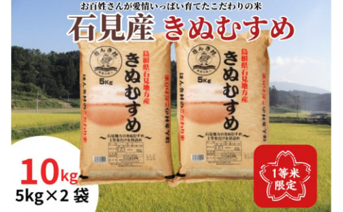 【先行予約】【令和7年産】石見産きぬむすめ10kg お取り寄せ 特産 お米 精米 白米 ごはん ご飯 コメ 新米 新生活 応援 準備 10キロ 10kg 10キロ【197_1957】