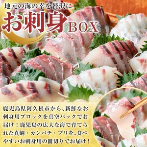 厳選お刺身BOX(4～6人前) 国産 お刺身 魚貝 魚介 鯛 カンパチ ブリ 海産物 刺身 おつまみ セット 【さるがく水産】a-20-28 国産 お刺身 魚貝 魚介 鯛 カンパチ ブリ 海産物 刺身