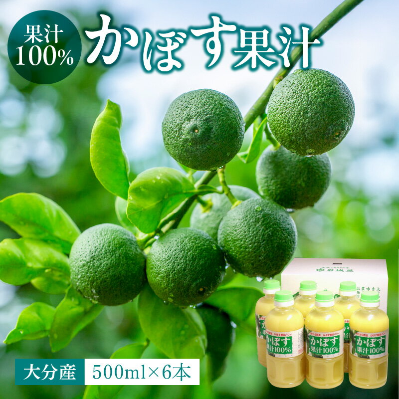【ふるさと納税】大分県 果汁 100％ カボス果汁 500ml×6本 ペットボトル 大分県産 九州産 国産 かぼす 香母酢 果実 ストレート果汁 さわやか 優しい酸味 鍋 揚げ物 焼魚 焼酎 カクテル ビタミンC 無加水 万能 調味料 香酸柑橘類 まとめ買い ケース買い 常温 F10041