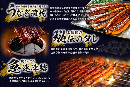 国産 うなぎ 蒲焼 3尾（無頭）計480g以上 新富町産 鰻 ウナギ 支援 鰻楽 送料無料【C444-30】