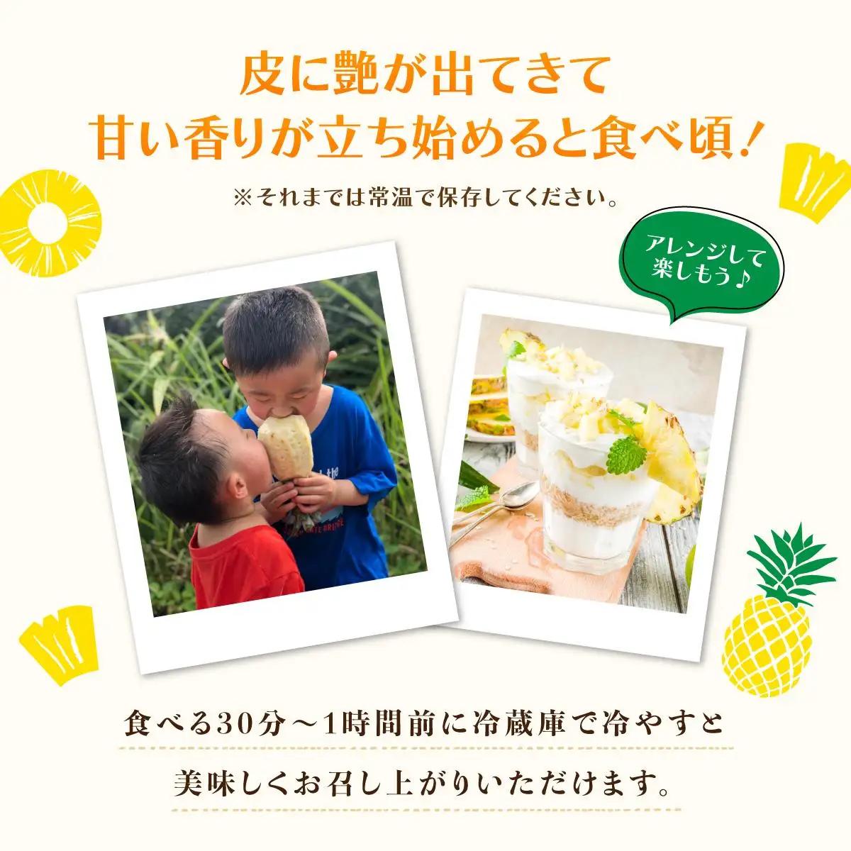 最高級 パイン 完熟 ゴールドバレル 1.0kg