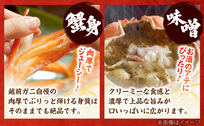 【先行予約/12月25日より順次発送】【年末希望】越前がに 700ｇ×3杯 ズワイガニ ずわいがに ボイル 冷蔵 小浜市 / まるほ商店 【配送不可地域：北海道・沖縄・離島】[BFCS038]