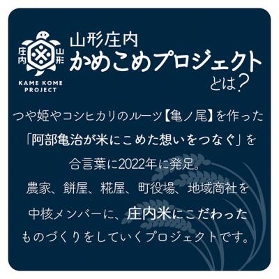 ふるさと納税 庄内町 山形庄内かめこめプロジェクト 庄内米ギフト 亀ノ尾 300g×1袋 令和7年産 2025年産 |  | 01