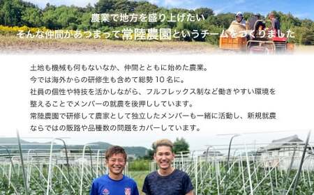 【期間限定 大容量パック】先行予約 干し芋 平干し 箱詰め 2㎏  | 干し芋 常陸太田市 茨城県