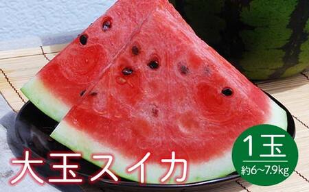 《先行予約 2025年度発送》山形県産 大玉スイカ1玉 L～2Lサイズ／約6～7.9kg スイカ すいか 西瓜 デザート フルーツ 果物 くだもの 果実 食品 山形県 FSY-0400