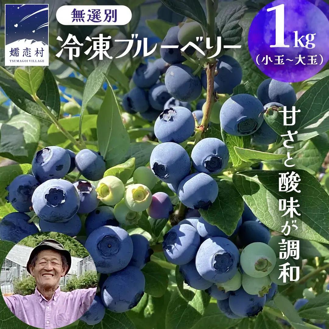 【 最短 7日以内 発送 】 冷凍 ブルーベリー 無選別（ 小玉 ～ 大玉 ） 1kg 数量限定 国産 フルーツ スムージー 果物 くだもの 農家直送 スイーツ アイス ノーザンハイブッシュ系 ミックス [AT013tu]